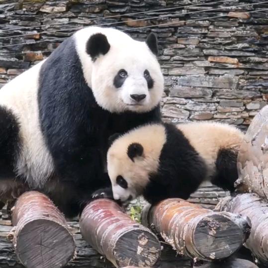 快乐过好每一天