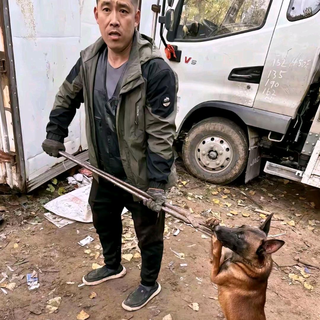 AAA套狗大队郑师傅（专业套狗35年）