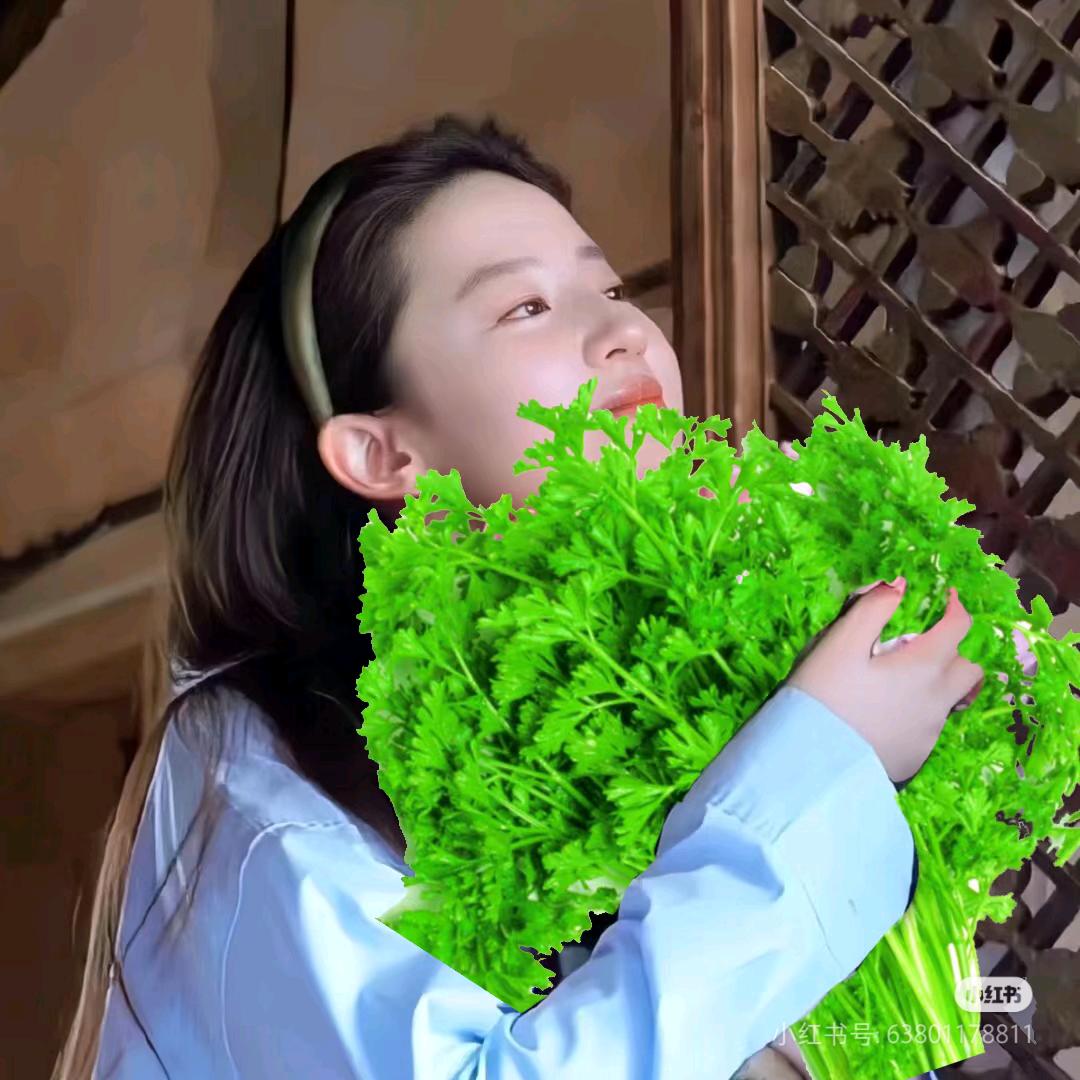 从来不吃香菜～～