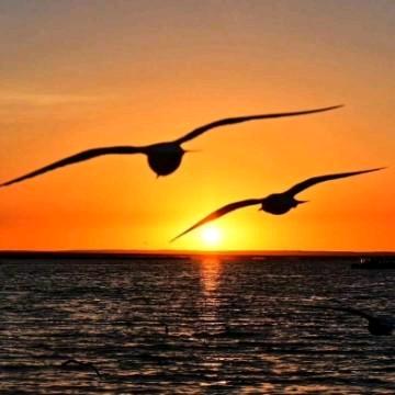 浮生似梦