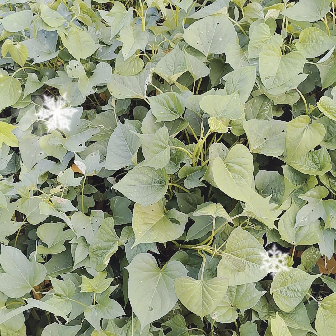 今天最美好