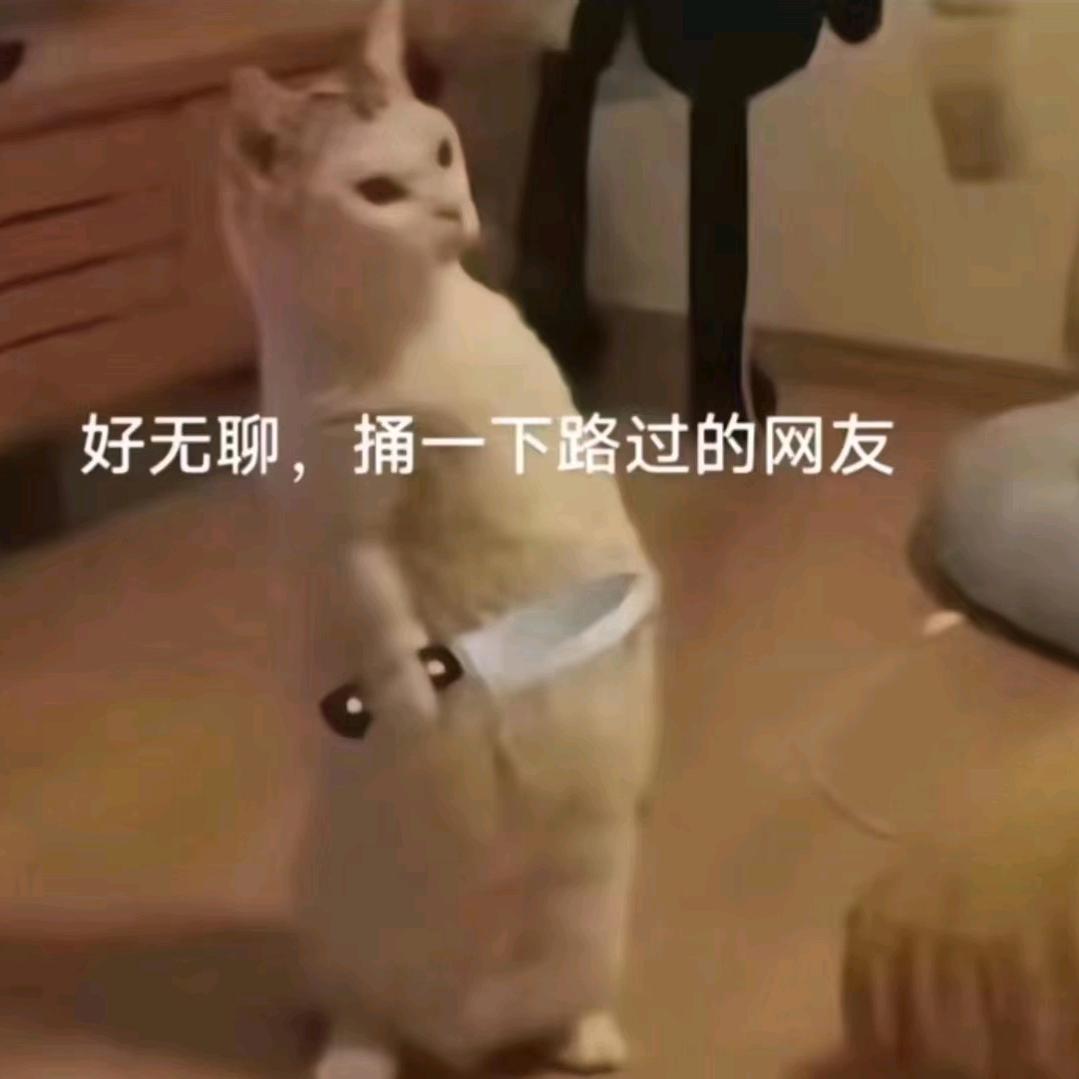 喂喂喂在吗怎么不说话