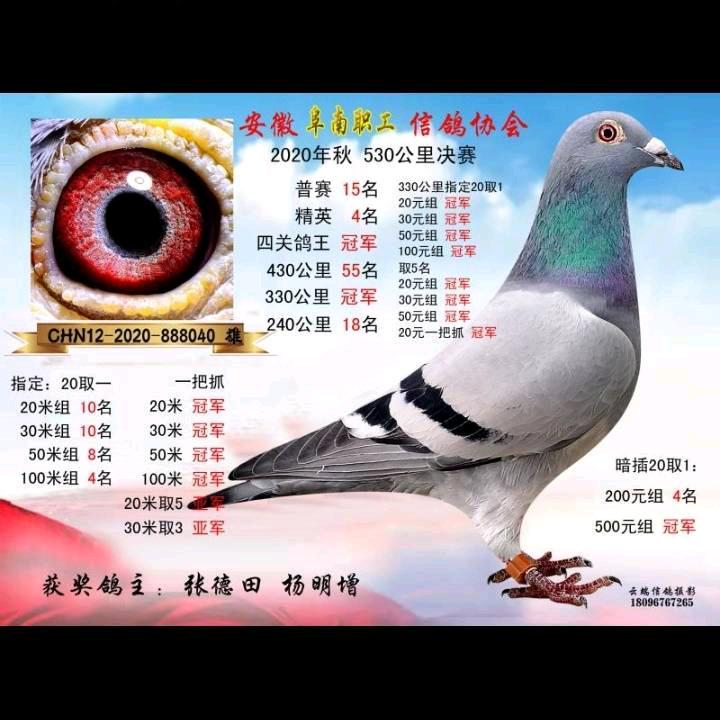 同發流动饭店张徳田