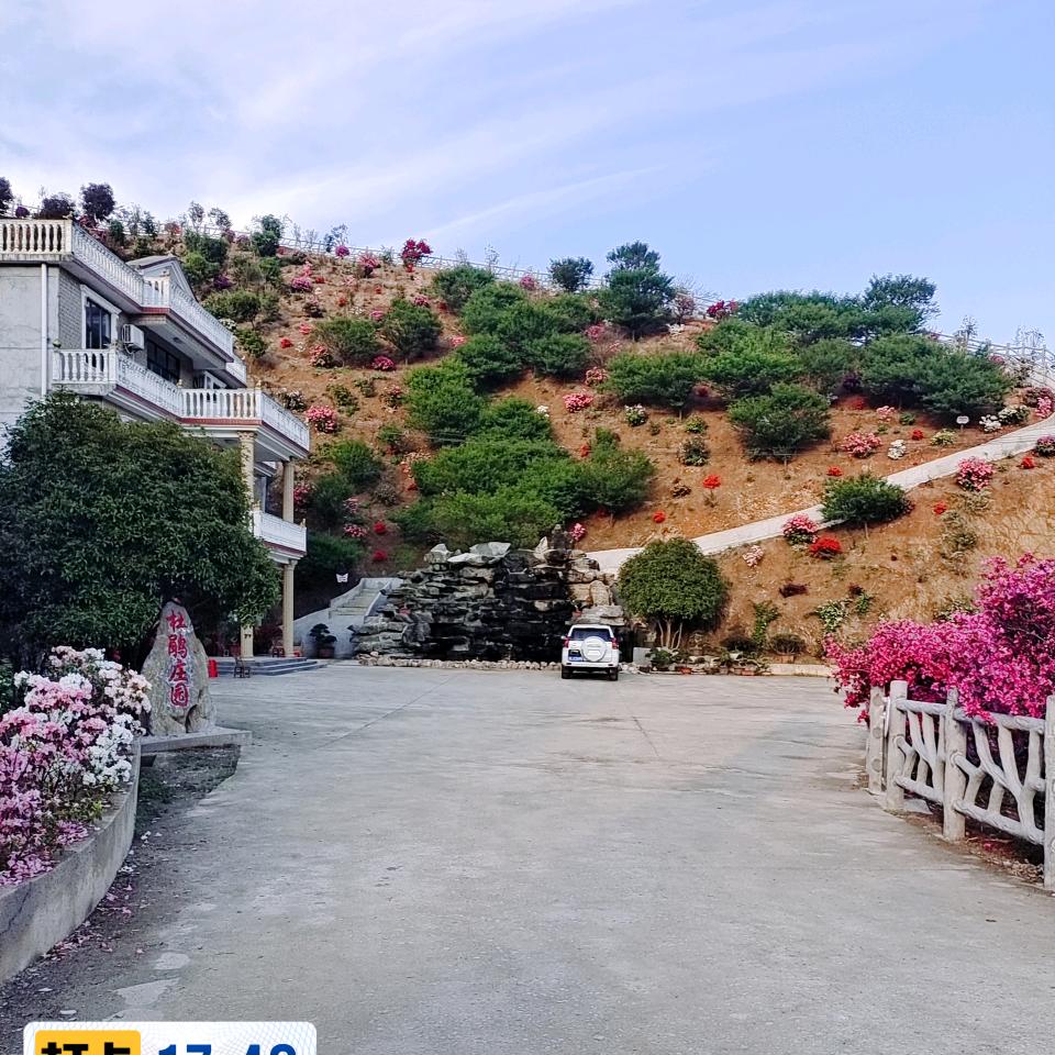 崇阳县杜鹃庄园