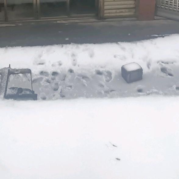 W旭中