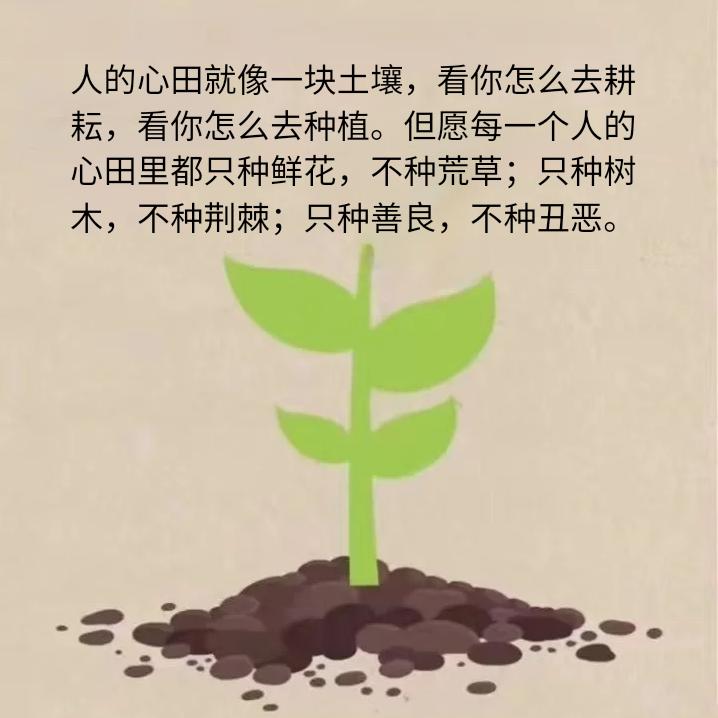 忘记背后，努力面前