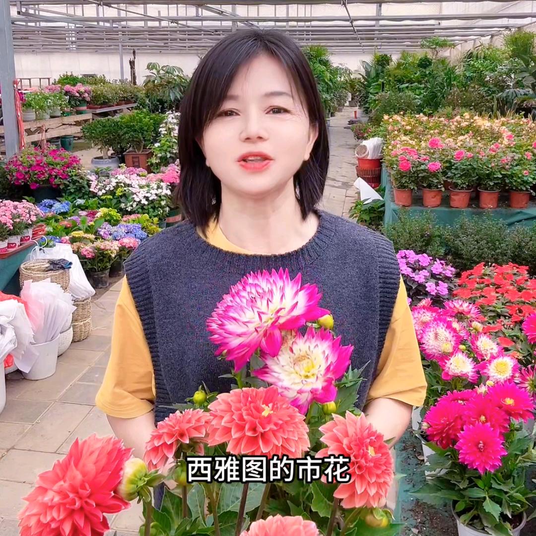 微的花花草草那些事