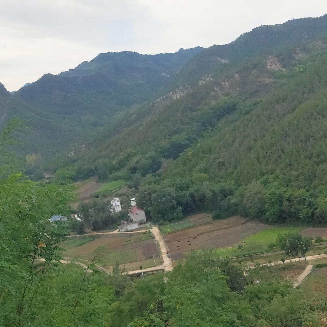 @如果＿＿就好了