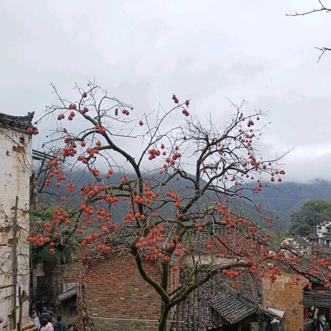 好好爱自己