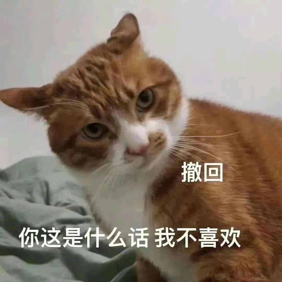 MrWu