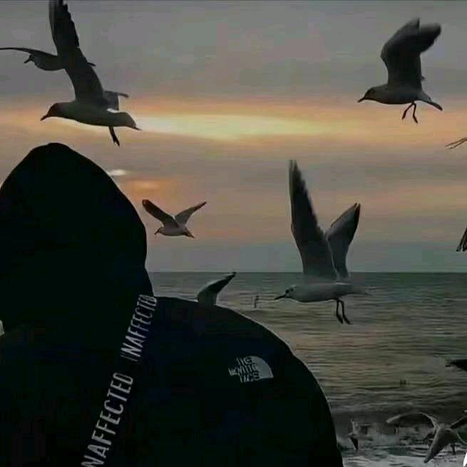 骁