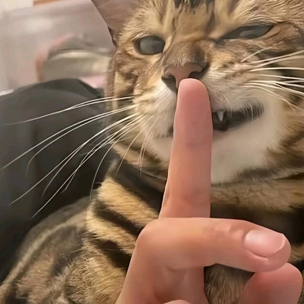 爱戀者