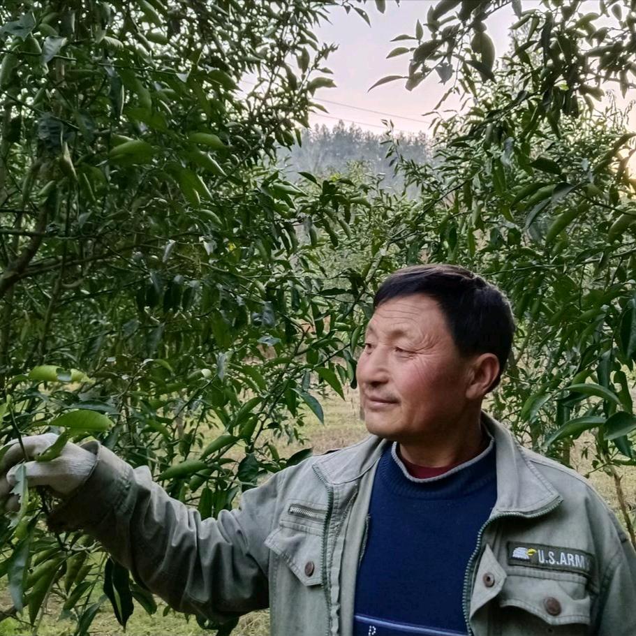 老邵园林土蜂蜜