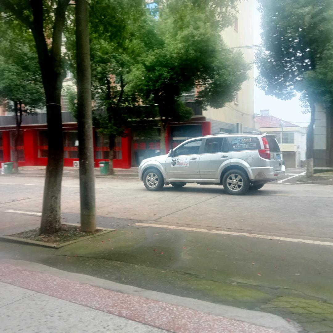 迷人的香蕉树