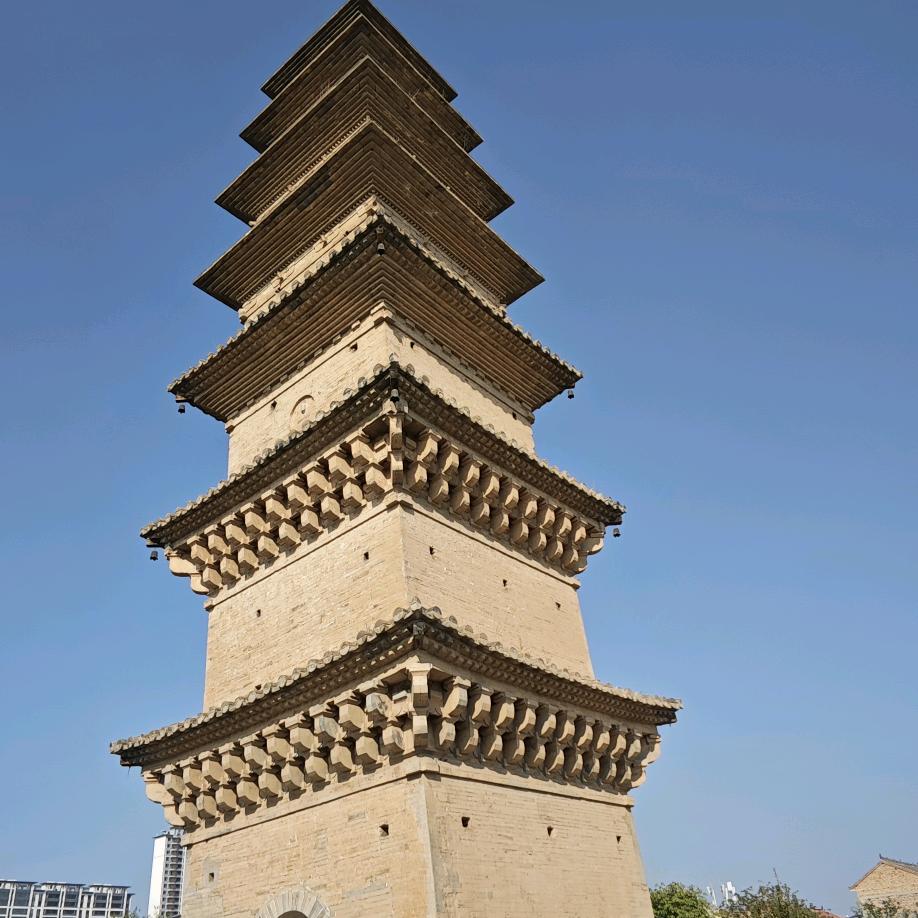 抖