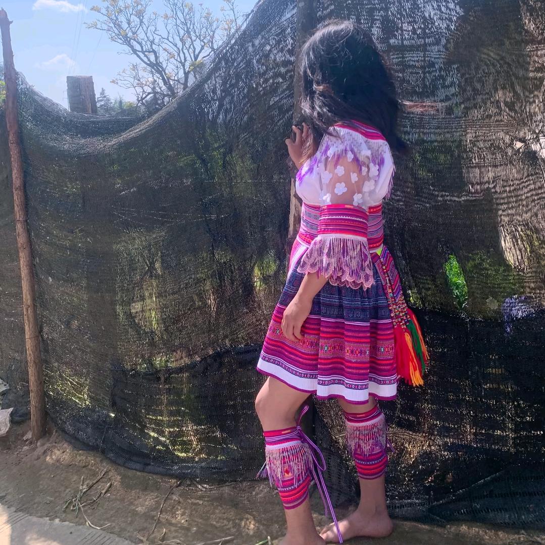 🍃忘了我吧🌺