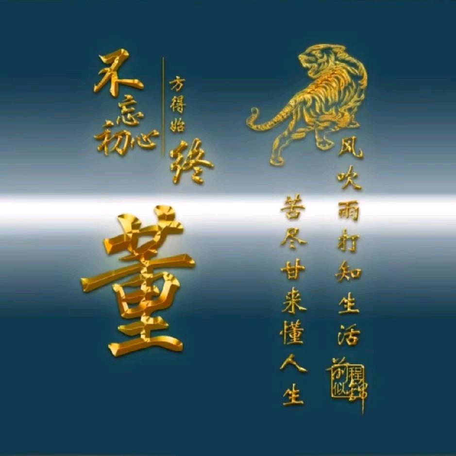 董某人