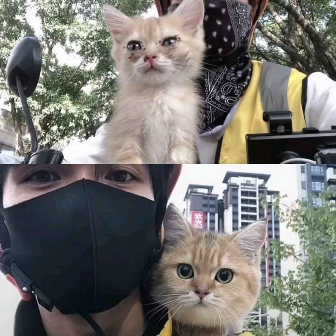 咪咪🐈