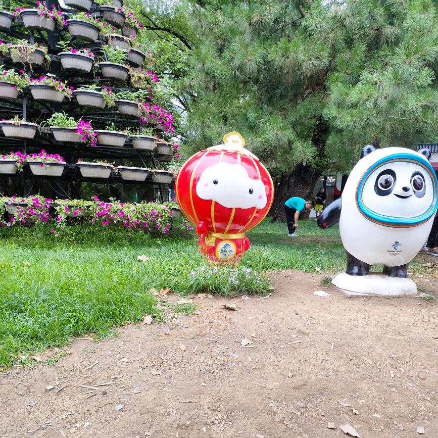 用户8670069432391晶晶