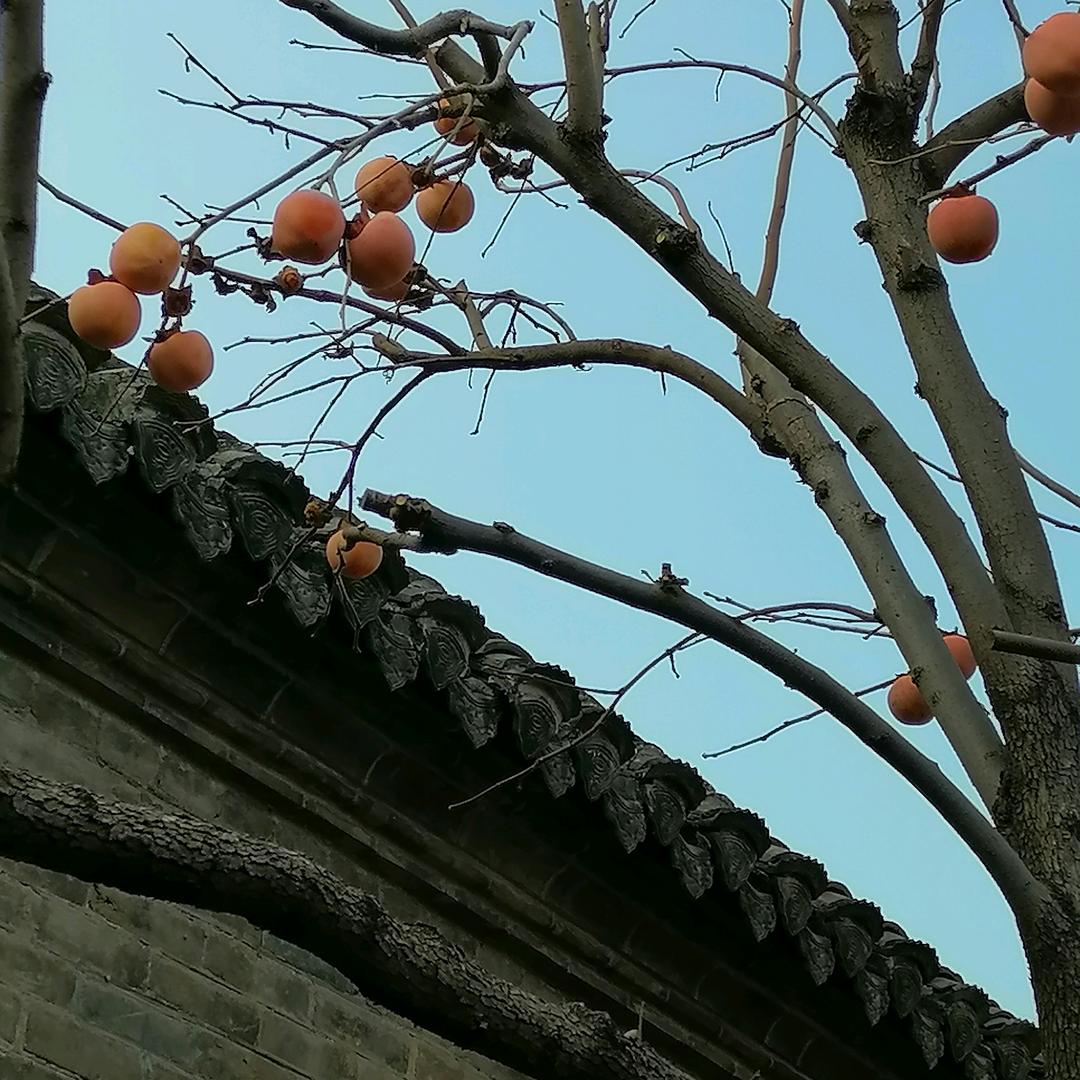 宇哥
