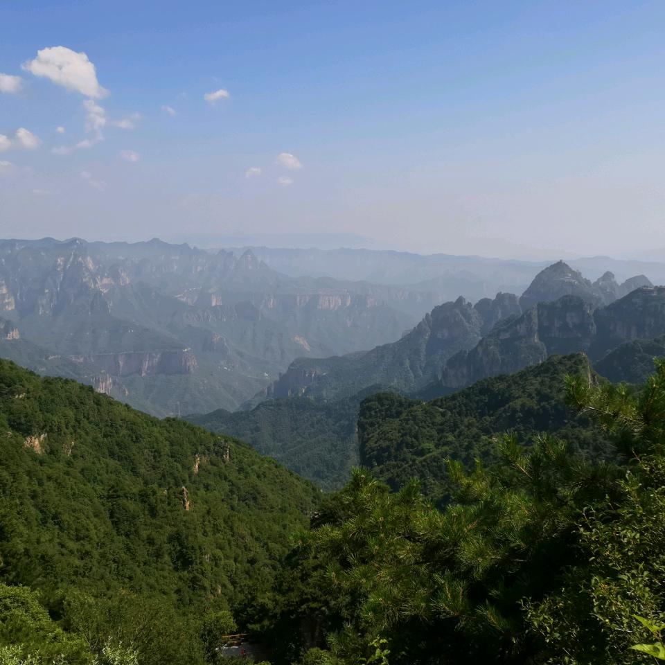 京东家电/西盛园