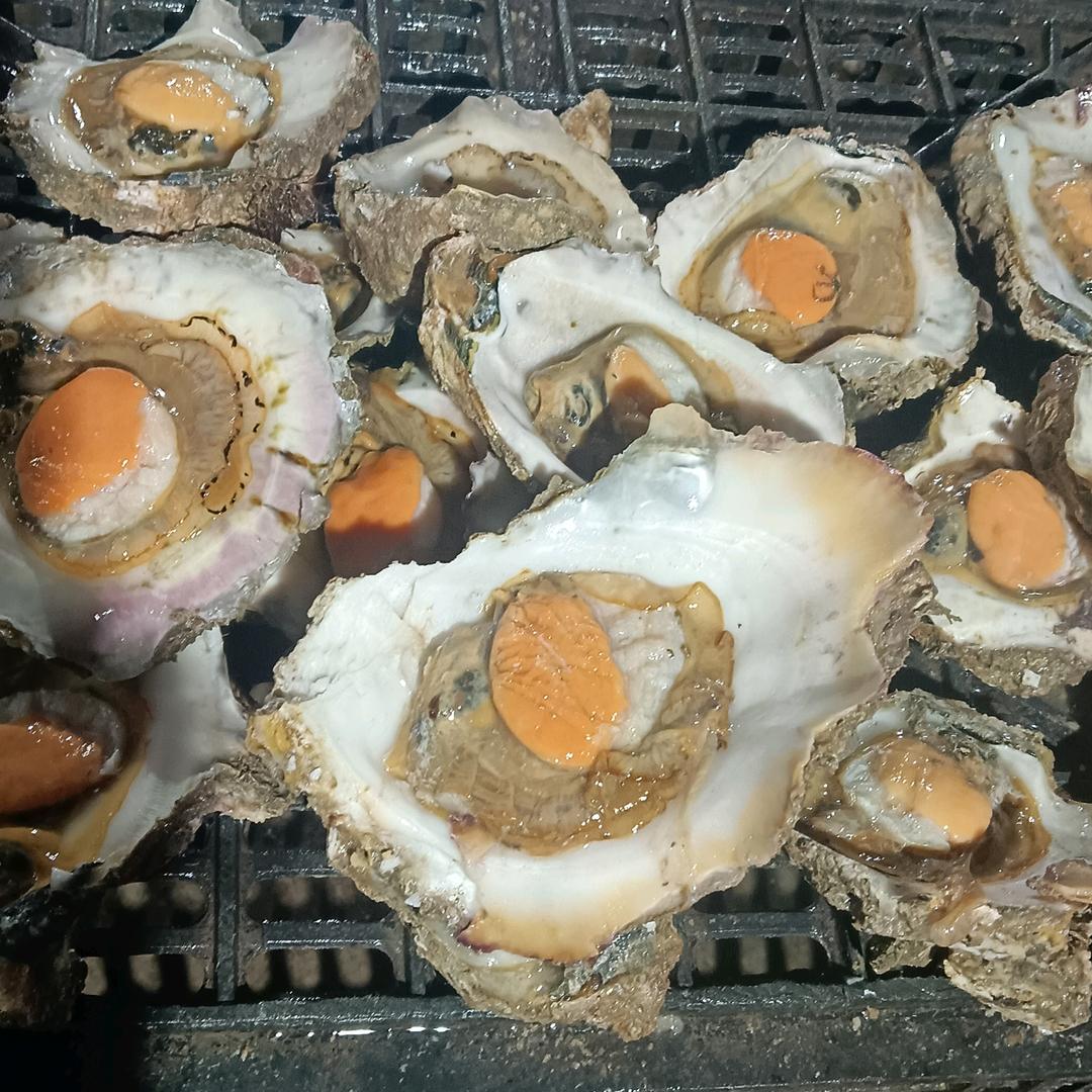 陈家人深海石蚝