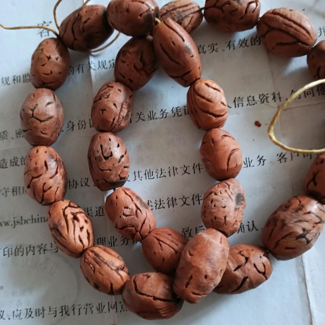 开心❤️每一天