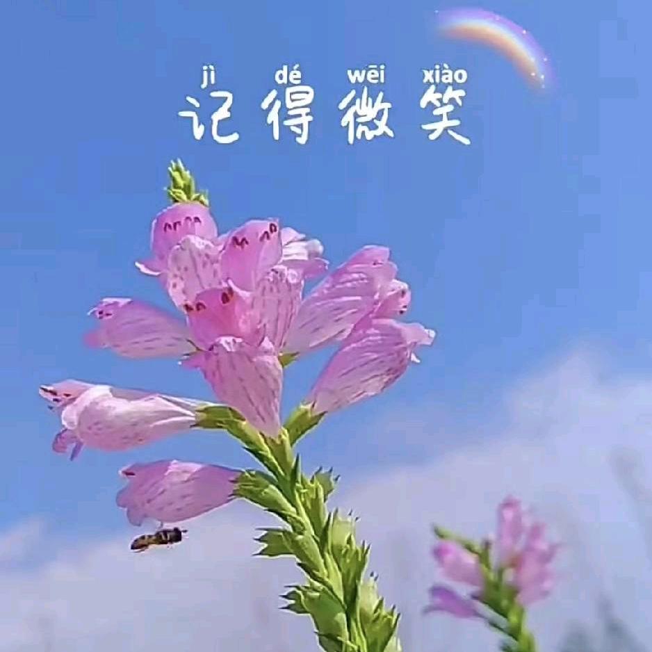 ，开心快乐