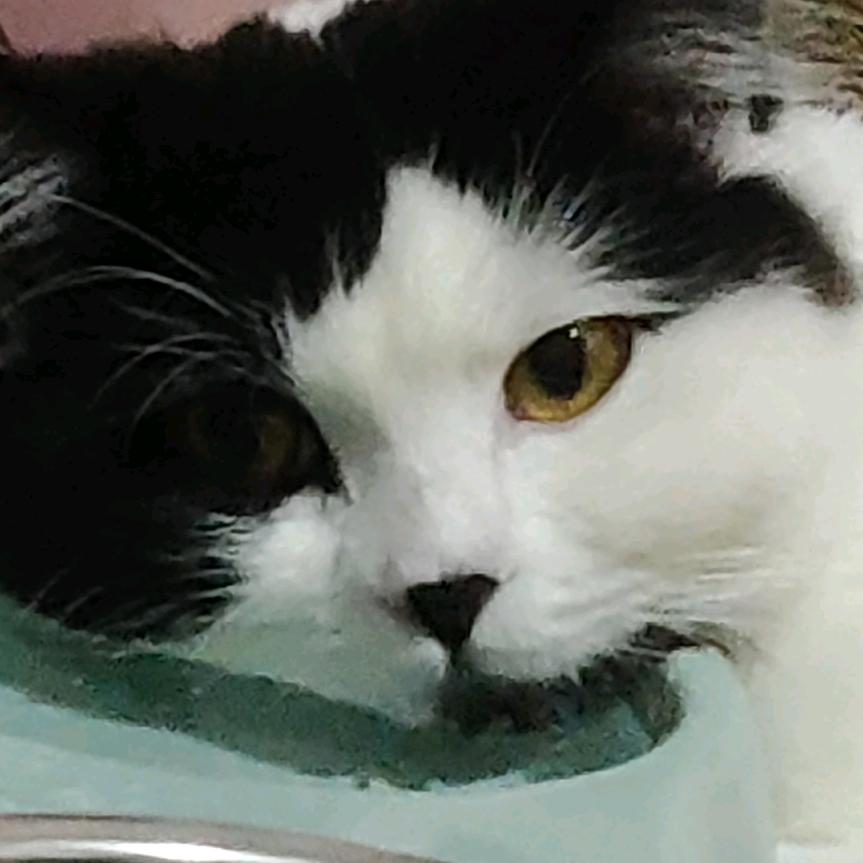 照石源