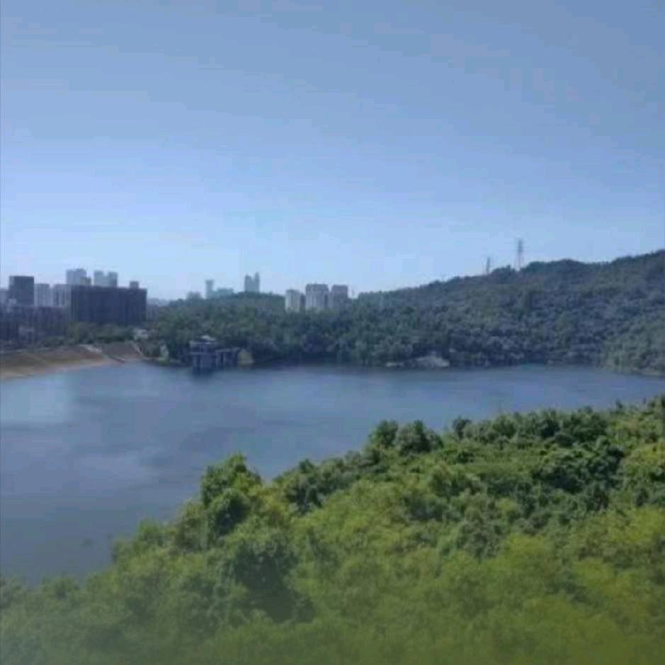 阿伟的邮乐小店