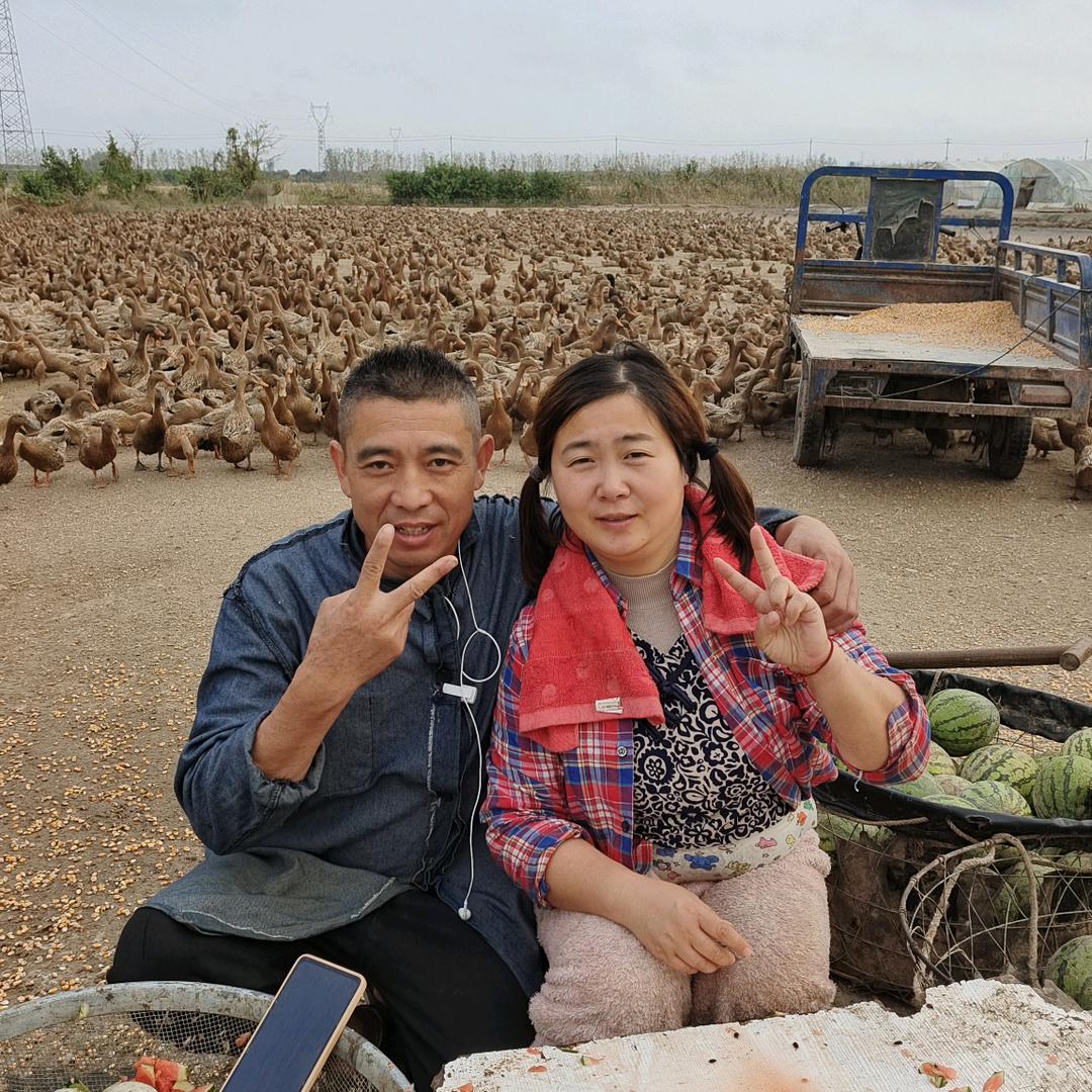 郑火火1
