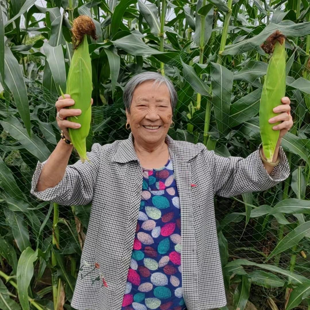 90岁的吴老太