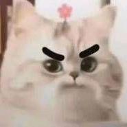 孜然肉片