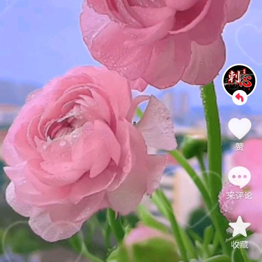昊天