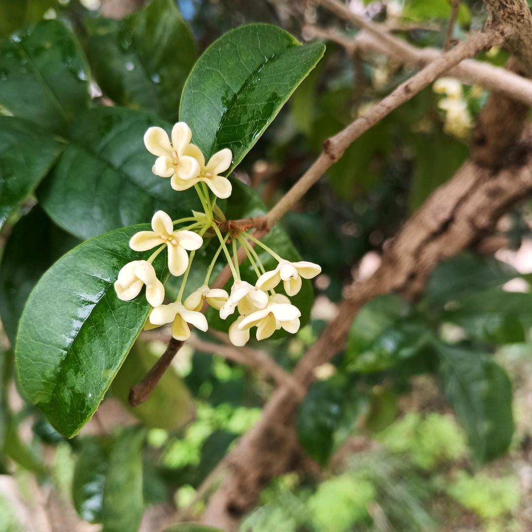 向阳而立
