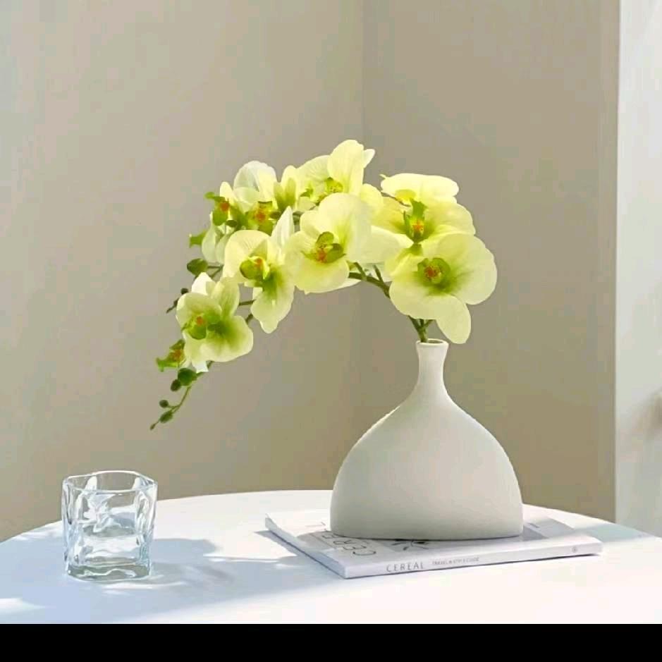 茉莉
