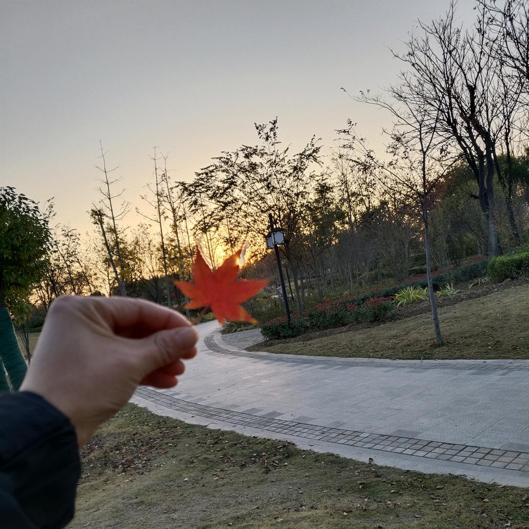 闪   总  🤭 🌈