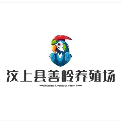 汶上县善岭宠物2