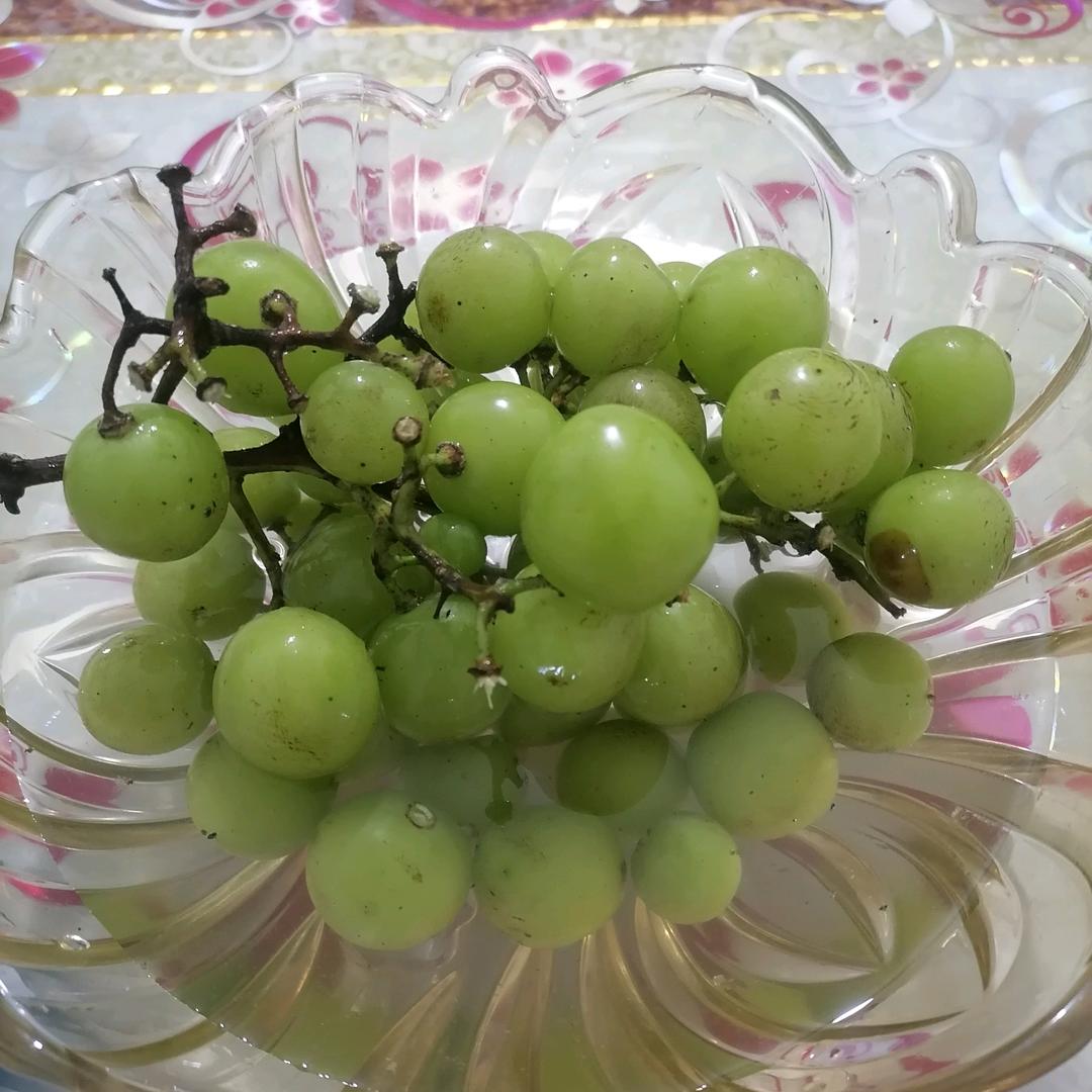 老马识途