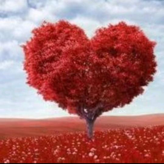 开心幸福知足常乐