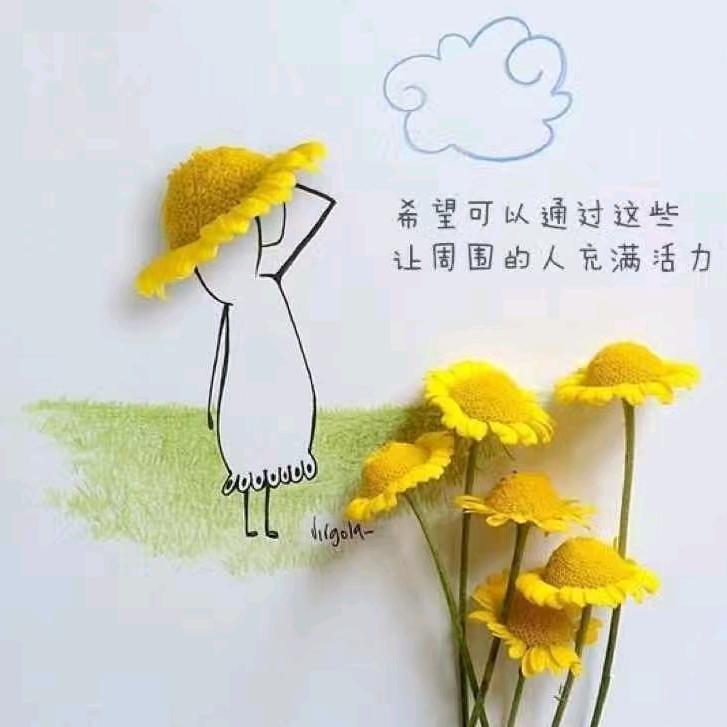 婷嫂