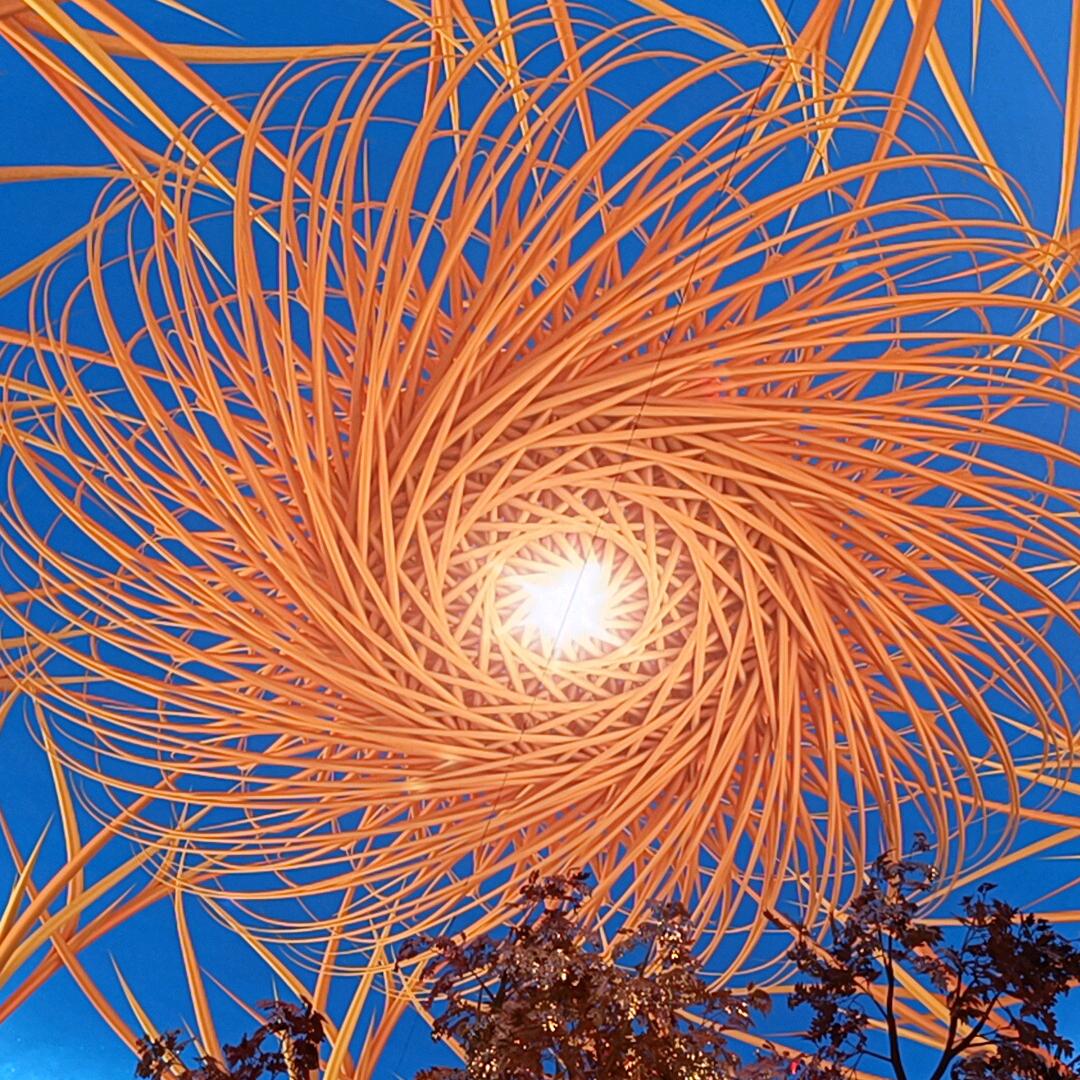 路虽远，行将至