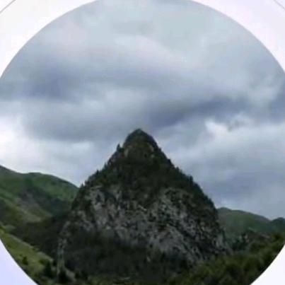 རིང་ཐང་བུ་མོ་