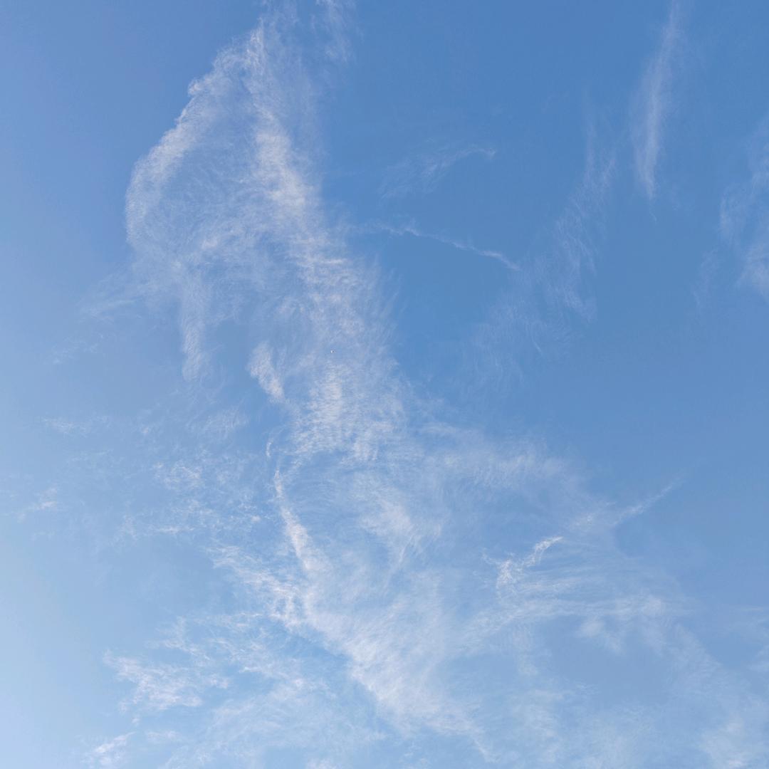 👉🏻Young👈🏻