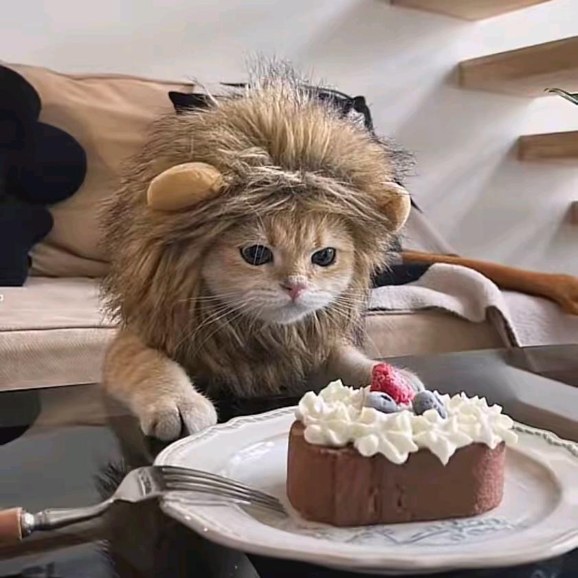 糕冷男神痞老板