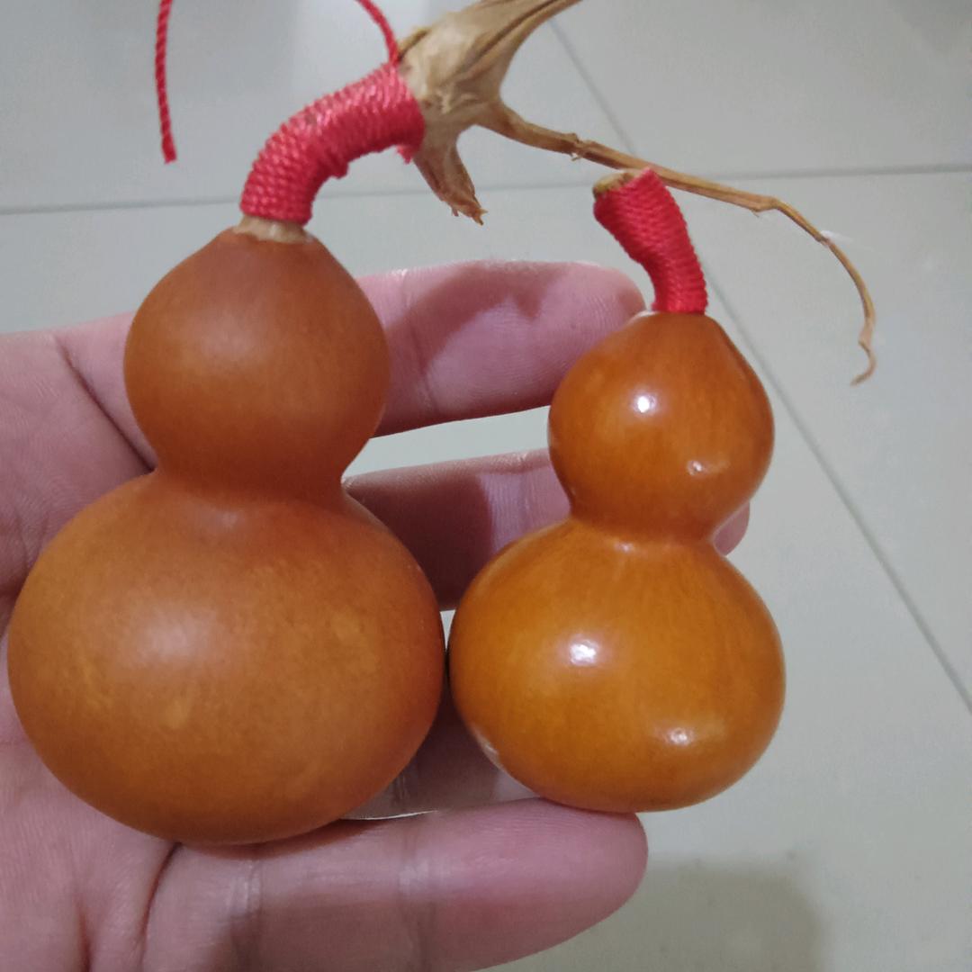 报废汽车回收，陈龙