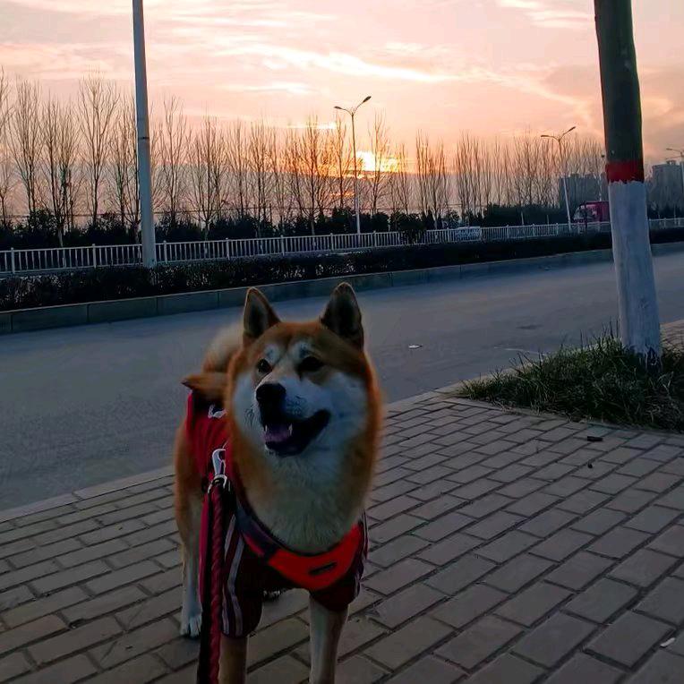 一名普通阿比撒