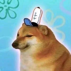 尔多隆