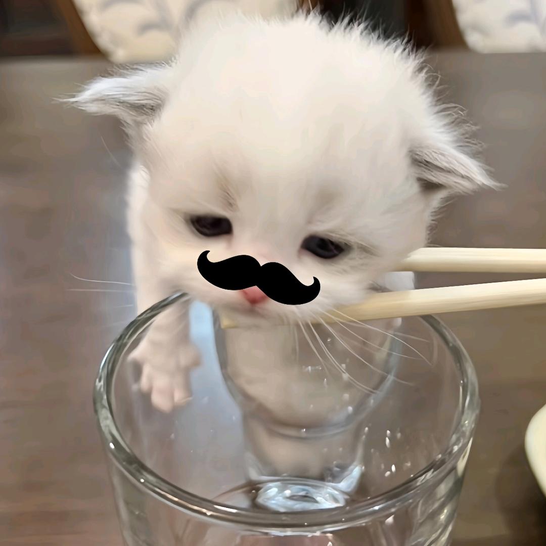 师师（性别为母猪）