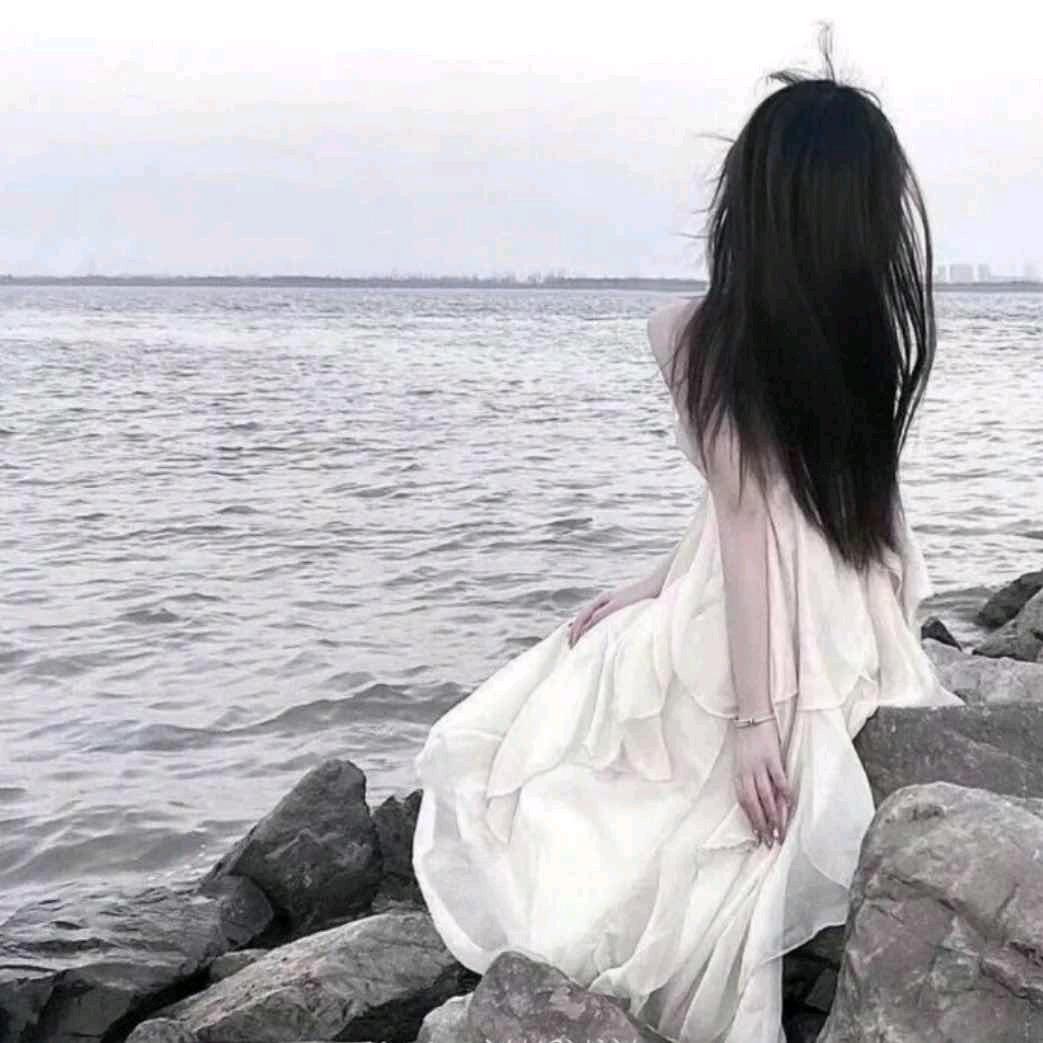 星穹的牧童